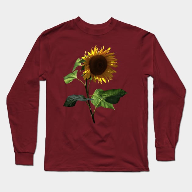 Sunflower Looking Down Long Sleeve T-Shirt by SusanSavad